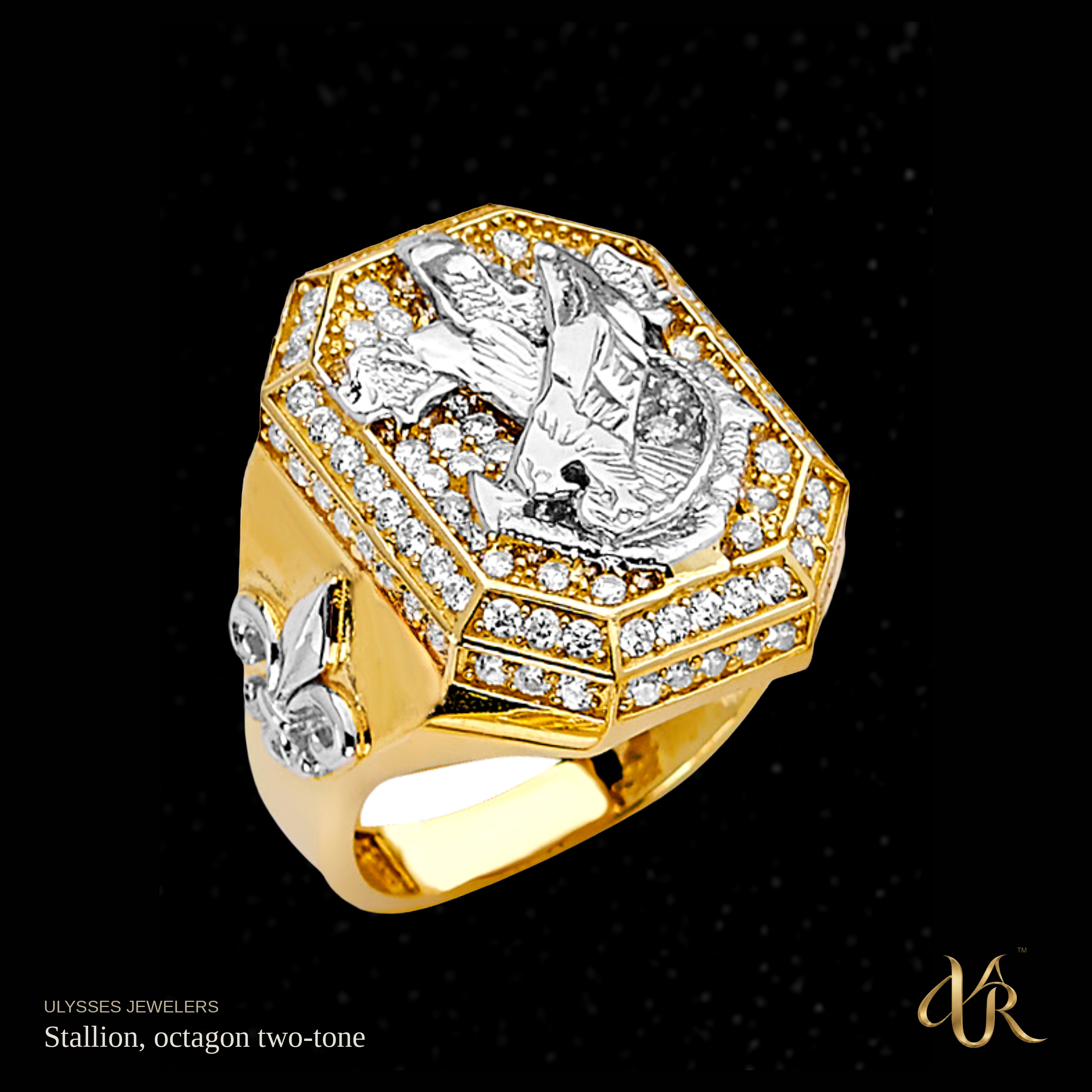 Stallion, octagon two-tone