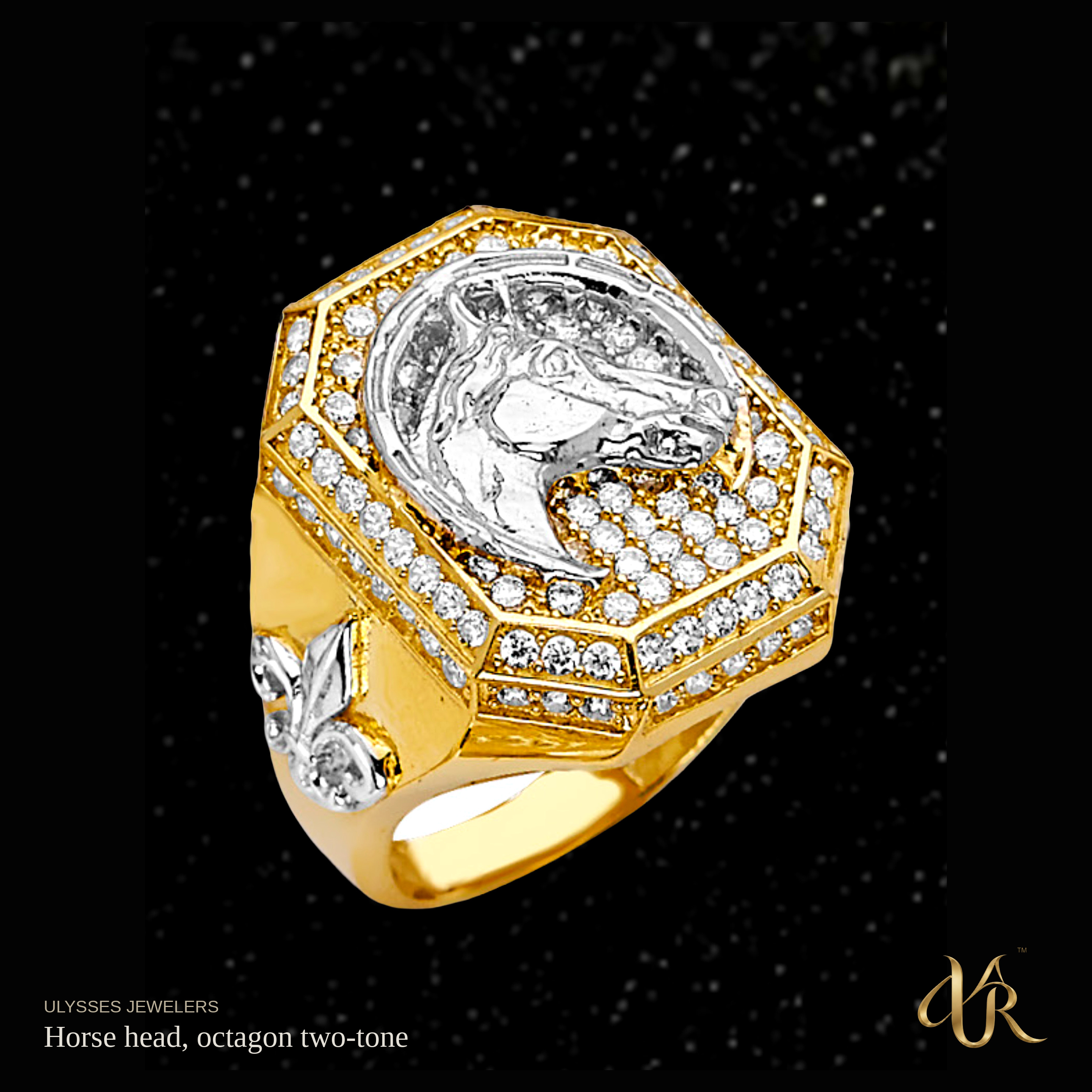 Horse head, octagon two-tone